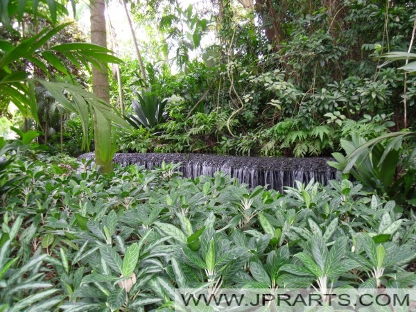 Botanische Gärten von Singapur