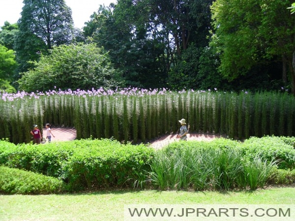 Jardín Botánico de Singapur