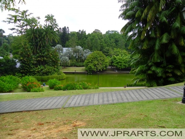 Symphony Lake Singapore Botanic Garden