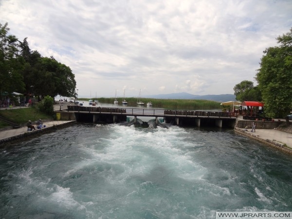 Црн Дрим истекува од Охридското Езеро (Струга, Македонија)
