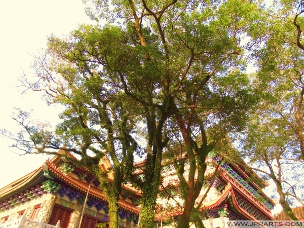 Monastery in Ngong Ping, Hong Kong 修道院昂坪,香港