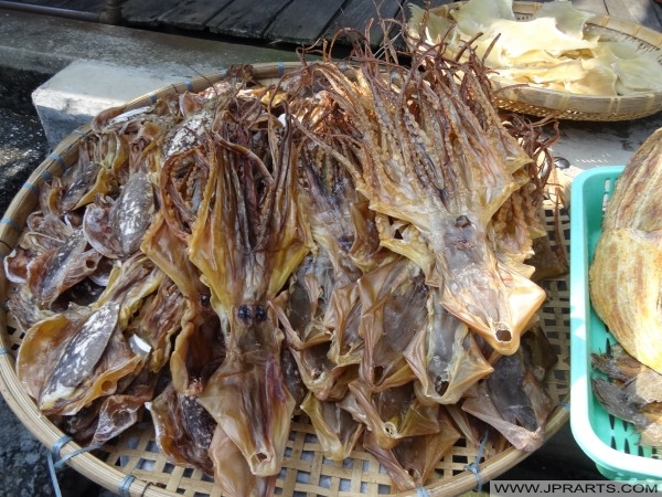 Dried Squid at Tai O market in Hong Kong Getrockneter Tintenfisch auf Tai O-Markt in Hong Kong