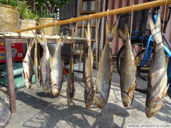 Drying Salt Fish Caught in the Waters of Tai O Fishing Village, Hong Kong Secado de pescado salado atrapados en las aguas del pueblo de pescadores de Tai O, Hong Kong