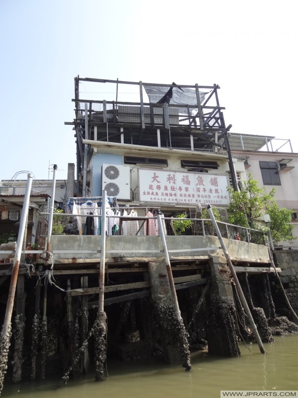 Fish shop in a stilt house in Tai O, Hong Kong Pescheria in Palafitta a Tai O, Hong Kong