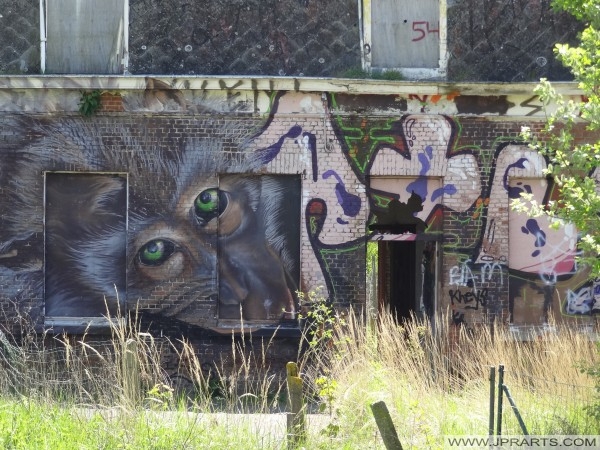 Graffiti of a Monkey in Doel, Belgium