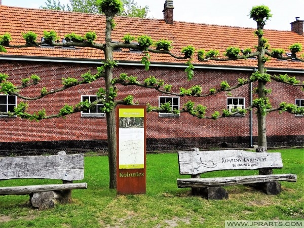 Kempen Landscape Wortel Colony, Belgium Kempen krajolik Wortel kolonija (Belgija)