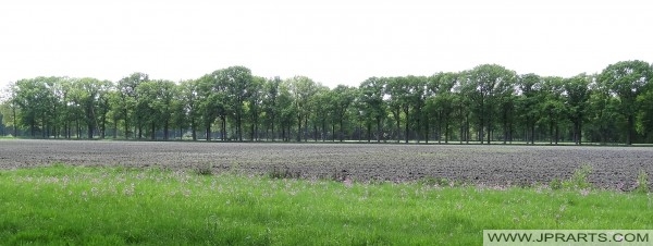 Landscape Wortel Kolonie, Belgium Paysage Wortel Colony (Belgique)