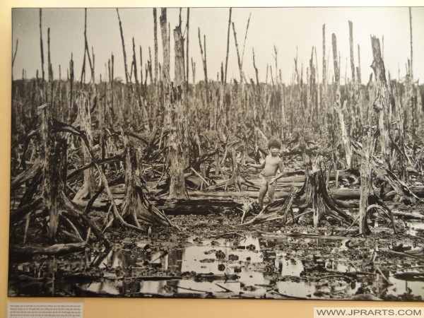 Aftermath Of Using Agent Orange In The Vietnam War Photo In The War Remnants Museum In Ho Chi Minh City Vietnam