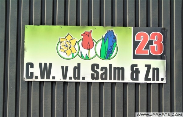 Flower Farm C.W. v.d. Salm & Zn. (Lisse, Holland) Flower Farm C.W. v.d. Salm & Zn. (Lisse, Holland)