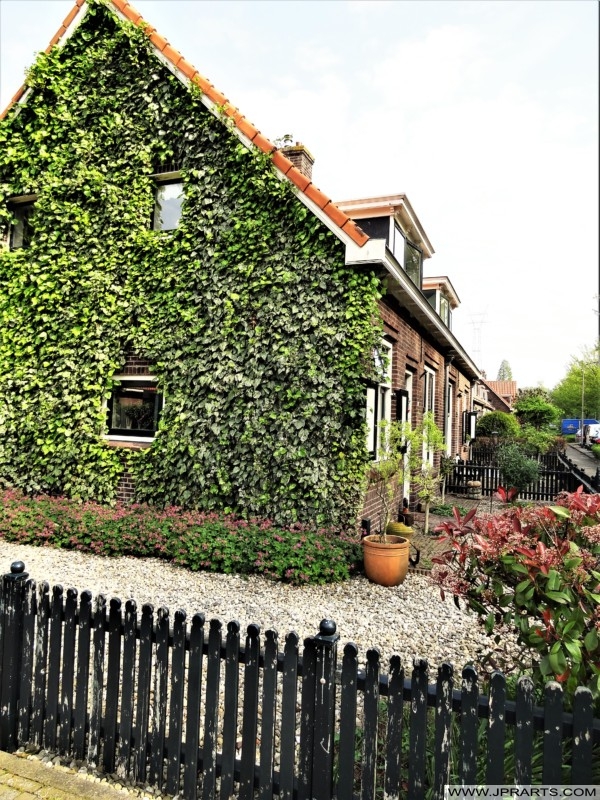 Donckselaan in Bolnes (Ridderkerk, Nederland)