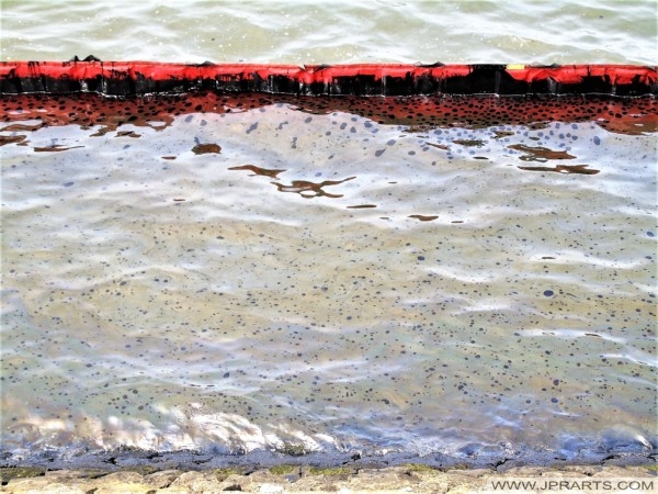 Oil Spill Disaster (Rotterdam, Netherlands)