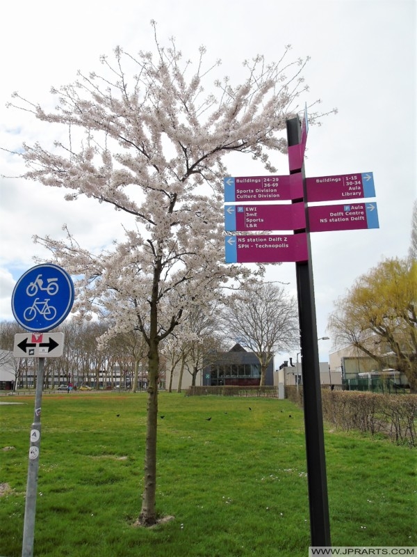 Signsposts on the Campus of the Delft University of Technology in the Netherlands указатели на территории кампуса Делфтского технологического университета в Нидерландах