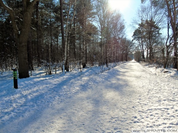 Winter Scenery in The Netherlands (Chaam) Pemandangan Musim Dingin di Belanda (Chaam)