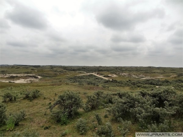 Dune Area in Zandvoort, Netherlands Área de Dunas cerca de Zandvoort, Países Bajos