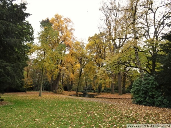 Otoño en el Forstgarten de Cléveris, Alemania
