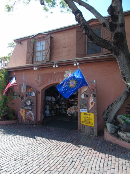 Fabulous Shell Warehouse in Key West (Florida, USA)